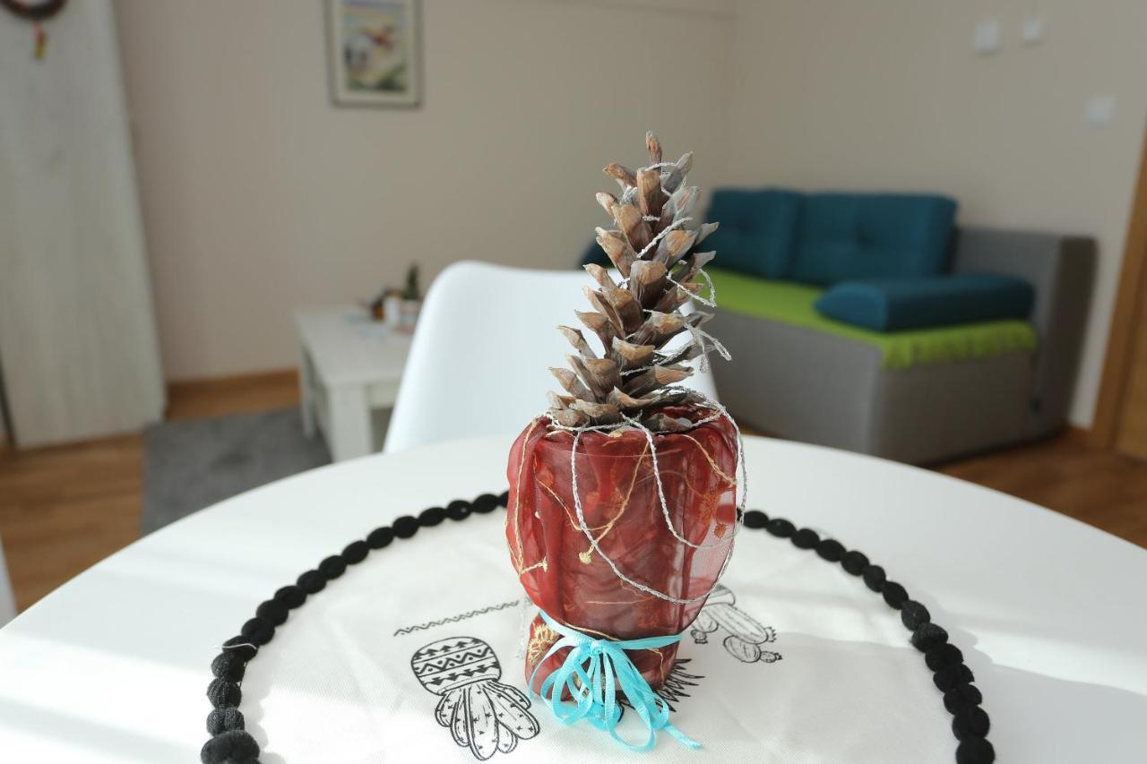 Mipet apartmani Zlatibor Extérieur photo