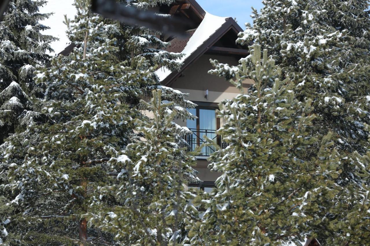 Mipet apartmani Zlatibor Extérieur photo